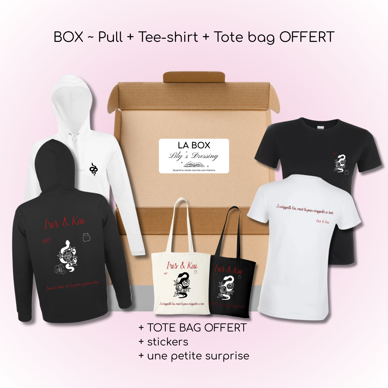 Box - Lakestone T1 🖤 (Pull + Tee-shirt + Tote bag OFFERT)