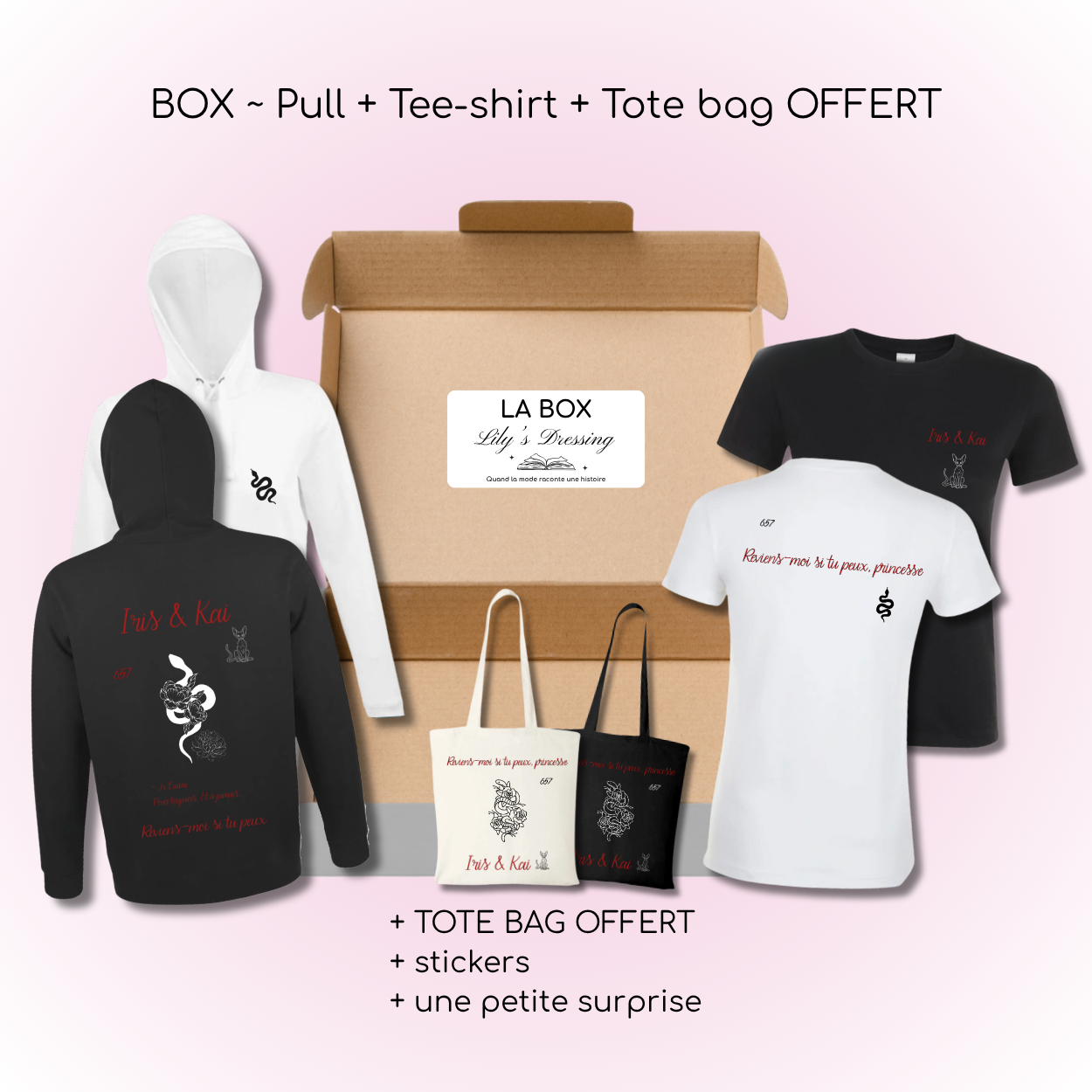 Box - Lakestone T2 ❤️🩹 (Pull + Tee-shirt + Tote bag OFFERT)